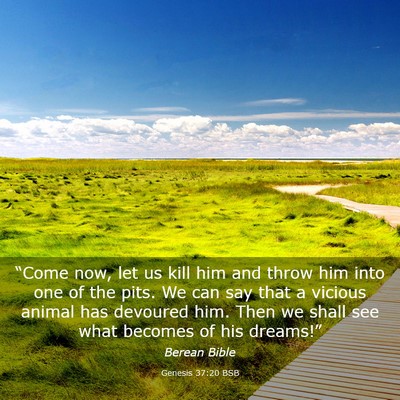 Picture 03 - Genesis 37:20 BSB - “Come now, let us kill him and throw him into - Bible Verse Picture