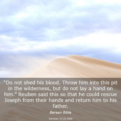 Picture 03 - Genesis 37:22 BSB - “Do not shed his blood. Throw him into this pit - Bible Verse Picture