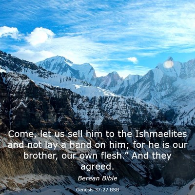 Picture 03 - Genesis 37:27 BSB - Come, let us sell him to the Ishmaelites and not - Bible Verse Picture