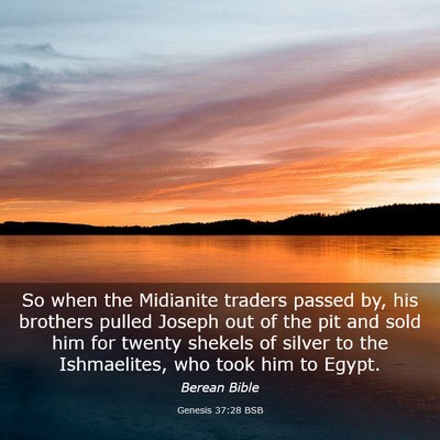 Picture 03 - Genesis 37:28 BSB - So when the Midianite traders passed by, his - Bible Verse Picture