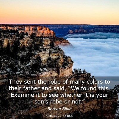 Picture 03 - Genesis 37:32 BSB - They sent the robe of many colors to their father - Bible Verse Picture
