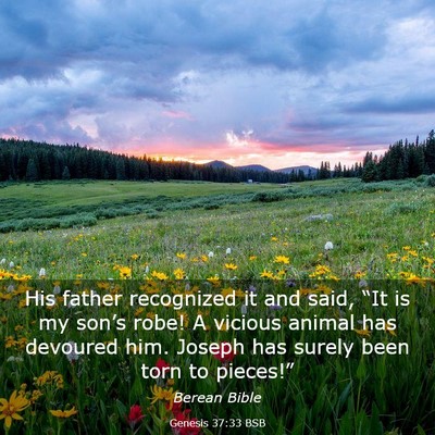 Picture 03 - Genesis 37:33 BSB - His father recognized it and said, “It is my - Bible Verse Picture