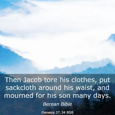 Picture 03 - Genesis 37:34 BSB - Then Jacob tore his clothes, put sackcloth around - Bible Verse Picture