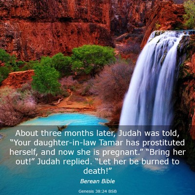 Picture 03 - Genesis 38:24 BSB - About three months later, Judah was told, “Your - Bible Verse Picture