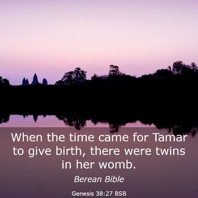 Picture 03 - Genesis 38:27 BSB - When the time came for Tamar to give birth, there - Bible Verse Picture
