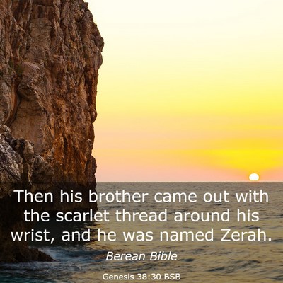 Picture 03 - Genesis 38:30 BSB - Then his brother came out with the scarlet thread - Bible Verse Picture