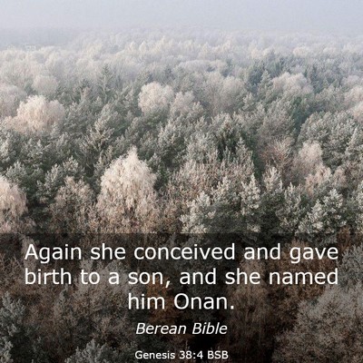 Picture 03 - Genesis 38:4 BSB - Again she conceived and gave birth to a son, and - Bible Verse Picture