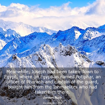 Picture 03 - Genesis 39:1 BSB - Meanwhile, Joseph had been taken down to Egypt, - Bible Verse Picture