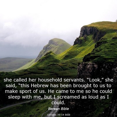 Picture 03 - Genesis 39:14 BSB - she called her household servants. “Look,” - Bible Verse Picture