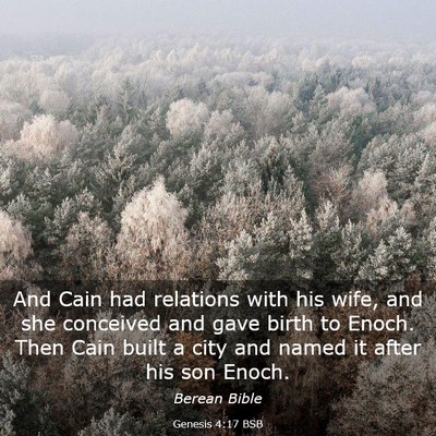 Picture 03 - Genesis 4:17 BSB - And Cain had relations with his wife, and she - Bible Verse Picture