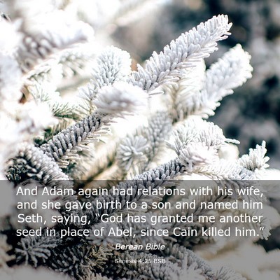 Picture 03 - Genesis 4:25 BSB - And Adam again had relations with his wife, and - Bible Verse Picture
