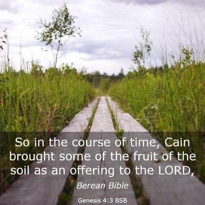 Picture 03 - Genesis 4:3 BSB - So in the course of time, Cain brought some of - Bible Verse Picture