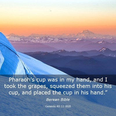 Picture 03 - Genesis 40:11 BSB - Pharaoh’s cup was in my hand, and I took the - Bible Verse Picture