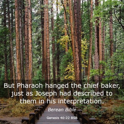 Picture 03 - Genesis 40:22 BSB - But Pharaoh hanged the chief baker, just as - Bible Verse Picture
