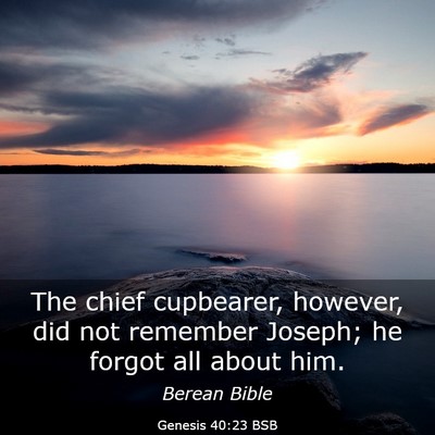 Picture 03 - Genesis 40:23 BSB - The chief cupbearer, however, did not remember - Bible Verse Picture