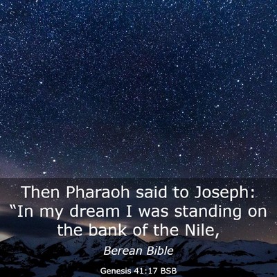 Picture 03 - Genesis 41:17 BSB - Then Pharaoh said to Joseph: “In my dream I was - Bible Verse Picture