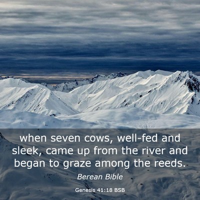 Picture 03 - Genesis 41:18 BSB - when seven cows, well-fed and sleek, came up from - Bible Verse Picture