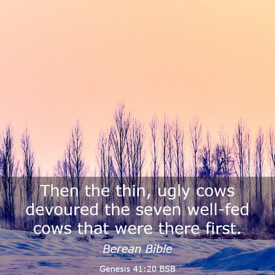 Picture 03 - Genesis 41:20 BSB - Then the thin, ugly cows devoured the seven - Bible Verse Picture
