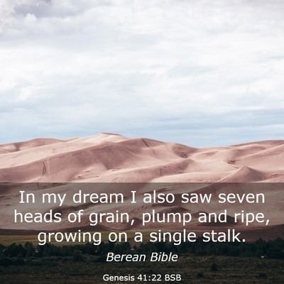 Picture 03 - Genesis 41:22 BSB - In my dream I also saw seven heads of grain, - Bible Verse Picture