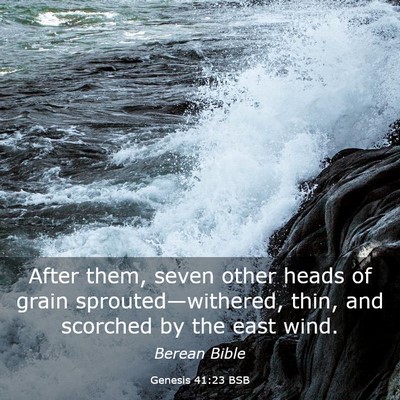 Picture 03 - Genesis 41:23 BSB - After them, seven other heads of grain - Bible Verse Picture