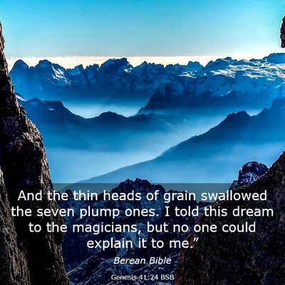 Picture 03 - Genesis 41:24 BSB - And the thin heads of grain swallowed the seven - Bible Verse Picture