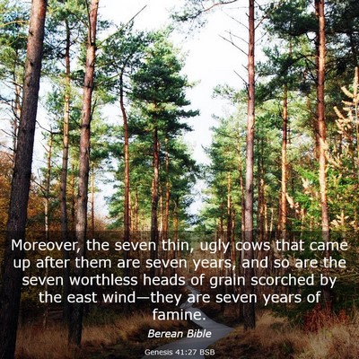 Picture 03 - Genesis 41:27 BSB - Moreover, the seven thin, ugly cows that came up - Bible Verse Picture