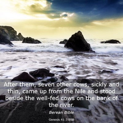 Picture 03 - Genesis 41:3 BSB - After them, seven other cows, sickly and thin, - Bible Verse Picture