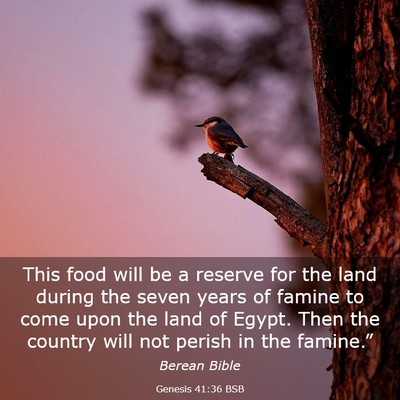 Picture 03 - Genesis 41:36 BSB - This food will be a reserve for the land during - Bible Verse Picture