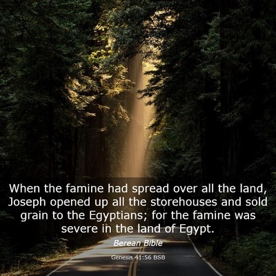 Picture 03 - Genesis 41:56 BSB - When the famine had spread over all the land, - Bible Verse Picture