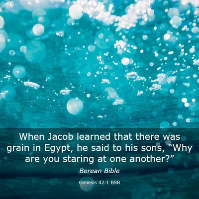 Picture 03 - Genesis 42:1 BSB - When Jacob learned that there was grain in Egypt, - Bible Verse Picture