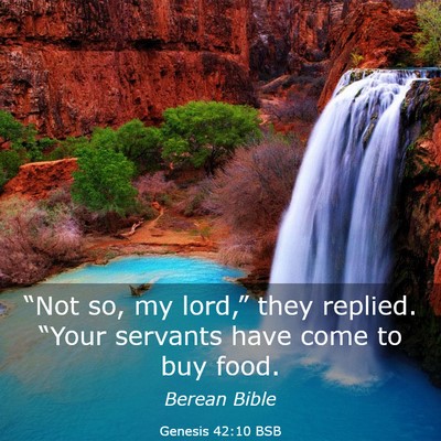 Picture 03 - Genesis 42:10 BSB - “Not so, my lord,” they replied. “Your - Bible Verse Picture