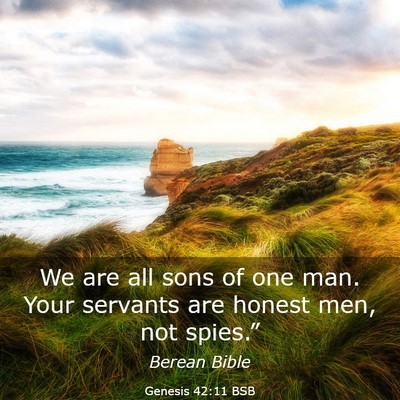 Picture 03 - Genesis 42:11 BSB - We are all sons of one man. Your servants are - Bible Verse Picture