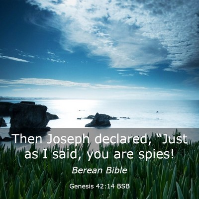 Picture 03 - Genesis 42:14 BSB - Then Joseph declared, “Just as I said, you are - Bible Verse Picture