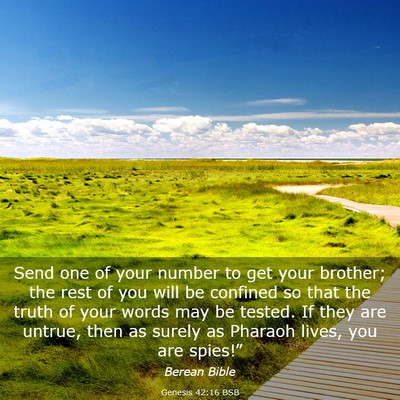 Picture 03 - Genesis 42:16 BSB - Send one of your number to get your brother; the - Bible Verse Picture