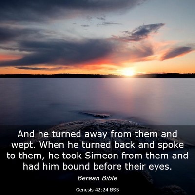 Picture 03 - Genesis 42:24 BSB - And he turned away from them and wept. When he - Bible Verse Picture