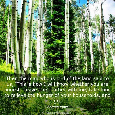 Picture 03 - Genesis 42:33 BSB - Then the man who is lord of the land said to us, - Bible Verse Picture