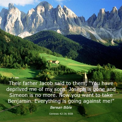 Picture 03 - Genesis 42:36 BSB - Their father Jacob said to them, “You have - Bible Verse Picture