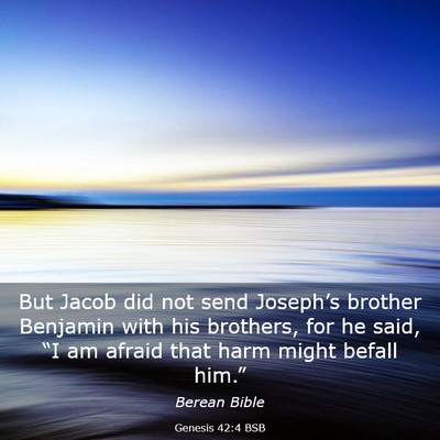 Picture 03 - Genesis 42:4 BSB - But Jacob did not send Joseph’s brother - Bible Verse Picture
