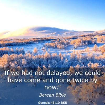 Picture 03 - Genesis 43:10 BSB - If we had not delayed, we could have come and - Bible Verse Picture