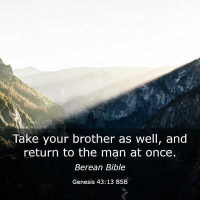 Picture 03 - Genesis 43:13 BSB - Take your brother as well, and return to the man - Bible Verse Picture