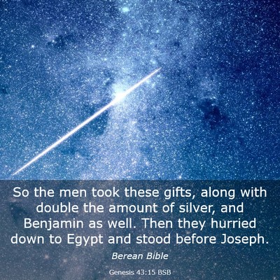 Picture 03 - Genesis 43:15 BSB - So the men took these gifts, along with double - Bible Verse Picture