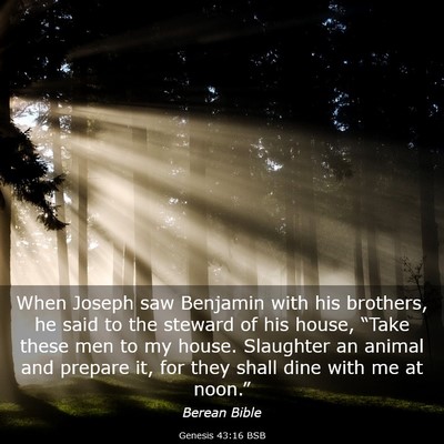 Picture 03 - Genesis 43:16 BSB - When Joseph saw Benjamin with his brothers, he - Bible Verse Picture