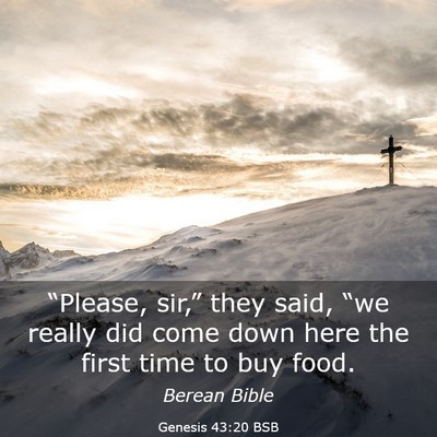 Picture 03 - Genesis 43:20 BSB - “Please, sir,” they said, “we really did - Bible Verse Picture