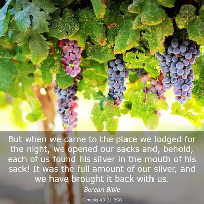 Picture 03 - Genesis 43:21 BSB - But when we came to the place we lodged for the - Bible Verse Picture