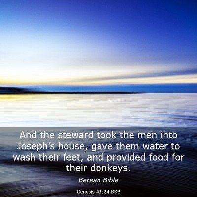 Picture 03 - Genesis 43:24 BSB - And the steward took the men into Joseph’s - Bible Verse Picture