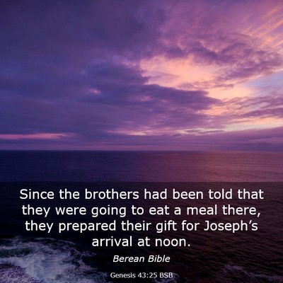 Picture 03 - Genesis 43:25 BSB - Since the brothers had been told that they were - Bible Verse Picture