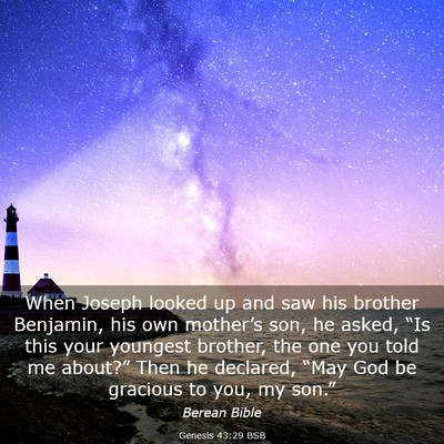 Picture 03 - Genesis 43:29 BSB - When Joseph looked up and saw his brother - Bible Verse Picture