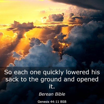 Picture 03 - Genesis 44:11 BSB - So each one quickly lowered his sack to the - Bible Verse Picture
