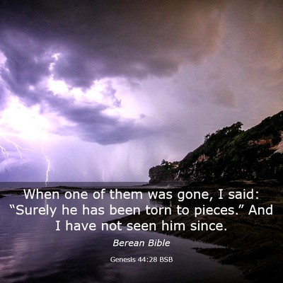 Picture 03 - Genesis 44:28 BSB - When one of them was gone, I said: “Surely he - Bible Verse Picture