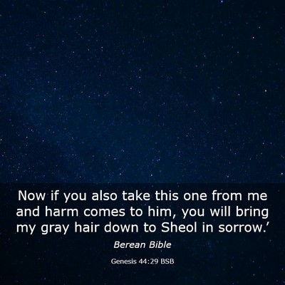 Picture 03 - Genesis 44:29 BSB - Now if you also take this one from me and harm - Bible Verse Picture